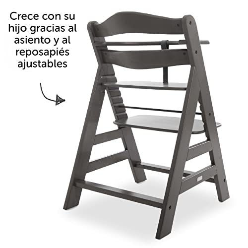 Hauck Trona Alpha Plus Select - Trona evolutiva madera con arnés y barra de seguridad - Trona bebe convertible - Gris oscuro Charcoal