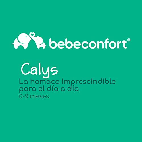 Bebe Confort Calys Cuna mecedora, hamaca reclinable, plegable, con colchón acolchado incluido, desde el nacimiento hasta aprox. 9 meses, color Warm Grey (Multi)