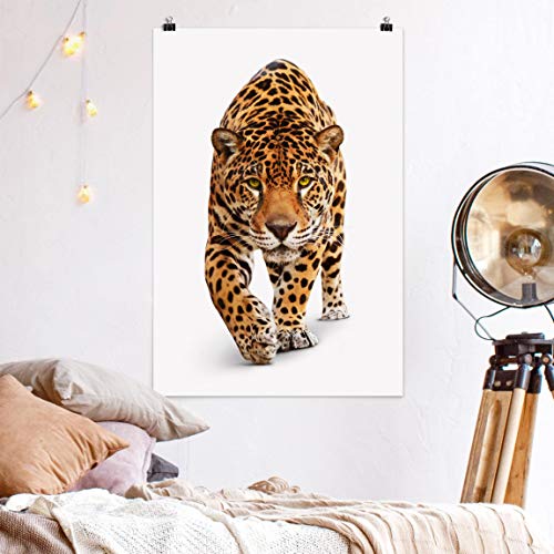 Bilderwelten Poster Art Impresión de Galería - Creeping Jaguar - Brillante 45 x 30cm