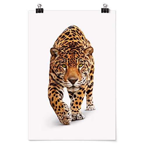 Bilderwelten Poster Art Impresión de Galería - Creeping Jaguar - Brillante 45 x 30cm