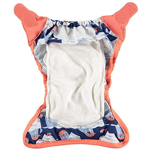 Close Pop-In Pañal de Tela Reutilizable, Multicolor (Walrus), 0-3 Meses (2-5.5 kg)