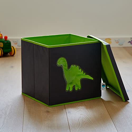 DE LA Tienda. IT 672067 de Juguete de Caja con Ventana de visualización Dino