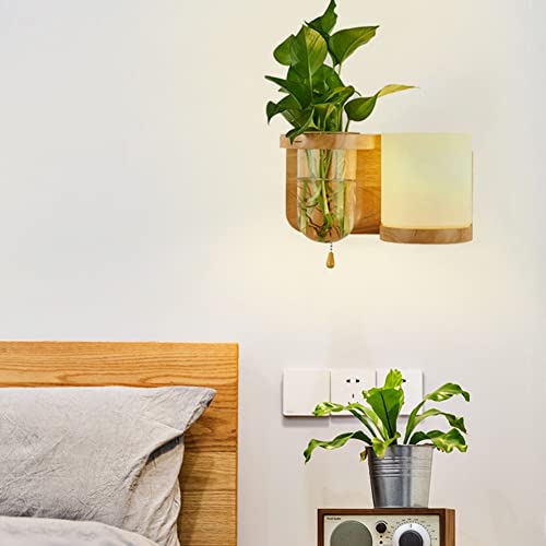 DIRIGIÓ Luces de pared Decoración de la pared moderna Iluminación Luminaria 12W Aplicaciones cálidas Iluminación Luz de pared de pared Lámpara de noche con vidrio Planta Contenedores for sala de estar