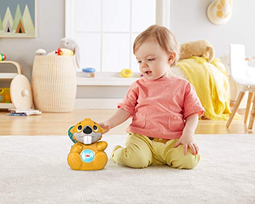 Fisher-Price Linkimals Castor, enseña formas y colores, juguete para bebés con luces y sonidos +9 meses (Mattel GXD80)