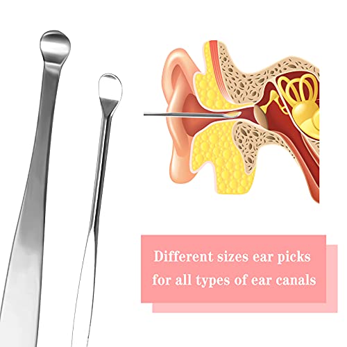 Fumanduo 12Pcs Kit de Cuchara para Oído Limpieza de Oídos de Acero Inoxidable Limpiador Eliminación de Cera de Oídos con Cepillo y Caja de almacenamiento para Oídos Bebés y Adultos (2 juegos)