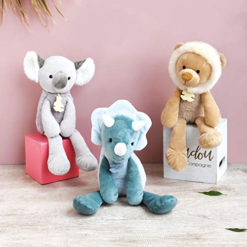 Histoire d'Ours Sweety Chou Koala - Peluche