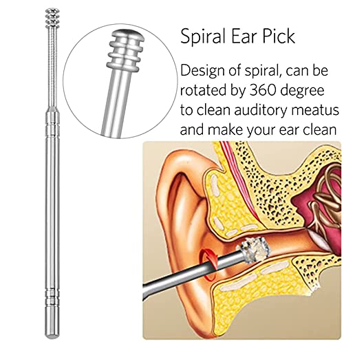 JeoPoom 6 ​Piezas Limpiador de Oídos, Juego de Limpieza de Oídos Portátil, Cuchara para Oído, Acero Inoxidable ear Cleaner con Caja de Almacenamiento, para Niños, Adolescentes y Adultos(Plata)