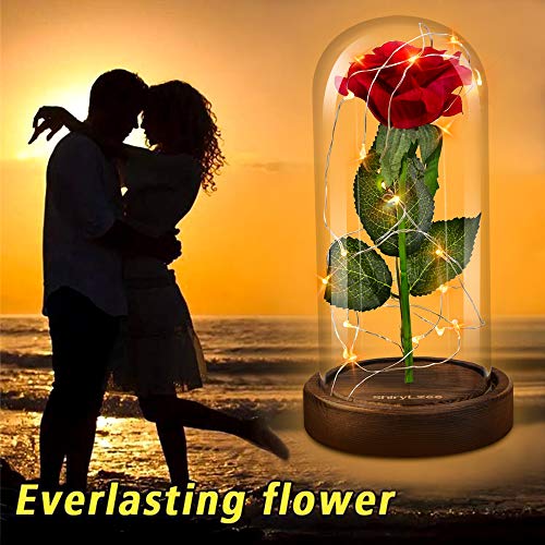 La Bella y La Bestia Rosa Encantada, shirylzee Rosa Eterna Flower Lamp en Glass Dome Luces LED Rosa de Seda Roja Regalos para Día de Día de la Madre,Cumpleaños, San Valentín Aniversario Bodas