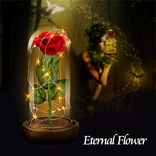 La Bella y La Bestia Rosa Encantada, shirylzee Rosa Eterna Flower Lamp en Glass Dome Luces LED Rosa de Seda Roja Regalos para Día de Día de la Madre,Cumpleaños, San Valentín Aniversario Bodas