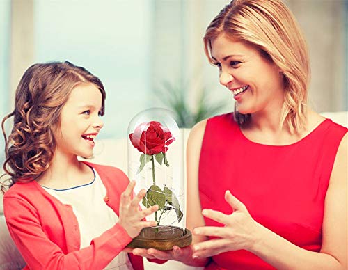 La Bella y La Bestia Rosa Encantada, shirylzee Rosa Eterna Flower Lamp en Glass Dome Luces LED Rosa de Seda Roja Regalos para Día de Día de la Madre,Cumpleaños, San Valentín Aniversario Bodas