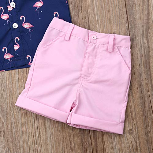 Miaouyo Conjunto de ropa de verano para niños con diseño de flamencos hawaianos y pantalones cortos, 2 piezas