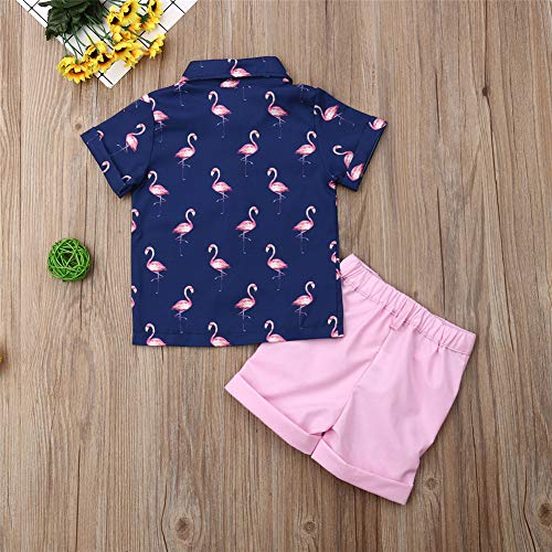 Miaouyo Conjunto de ropa de verano para niños con diseño de flamencos hawaianos y pantalones cortos, 2 piezas