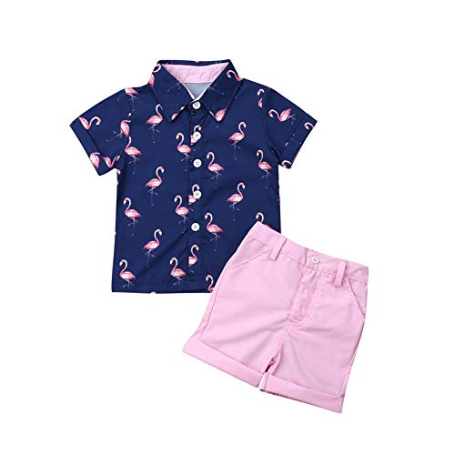 Miaouyo Conjunto de ropa de verano para niños con diseño de flamencos hawaianos y pantalones cortos, 2 piezas