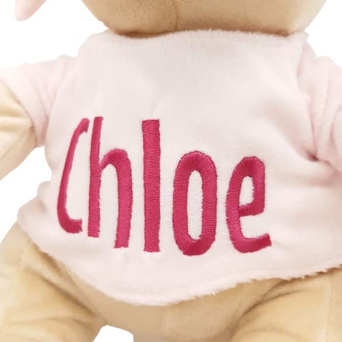 MyK Oso de Peluche Personalizado Para Bebe con el nombre del recien nacido bordado en color (Rosa)