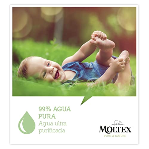 Pack 12 x Toallitas Moltex Pure & Nature 60 Uds