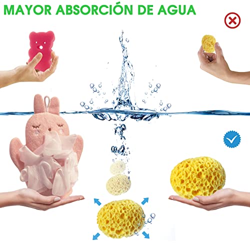 Pack x3 Esponja natural para bebe y personas mayores - Kit baby baño esponjas para el higiene del bebe recién nacido - Set cuidado bebe con esponja de baño natural y vegetal