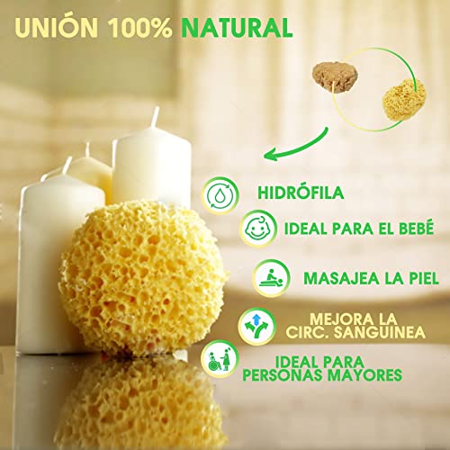 Pack x3 Esponja natural para bebe y personas mayores - Kit baby baño esponjas para el higiene del bebe recién nacido - Set cuidado bebe con esponja de baño natural y vegetal