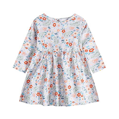 Vestidos de bebé para niñas - Ropa de bebé Niñas - Vestido de manga larga de una pieza con estampado floral de princesa vestido de otoño para niños (6 meses a 3 años), gris, 2-3 Años