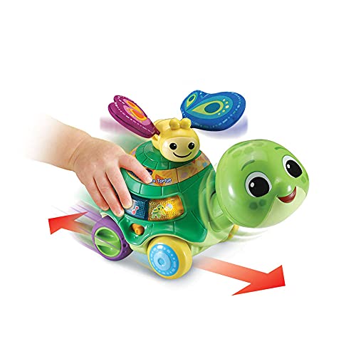 VTech-80-547605 Tortuga de Empuje, Multicolor (547605)