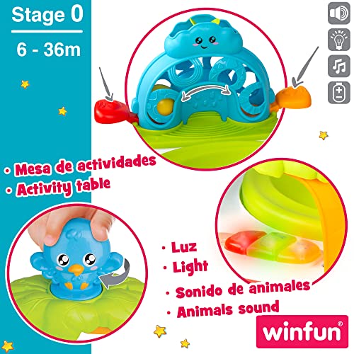 winfun 46696 - Centro de Actividades c/Asiento +6m