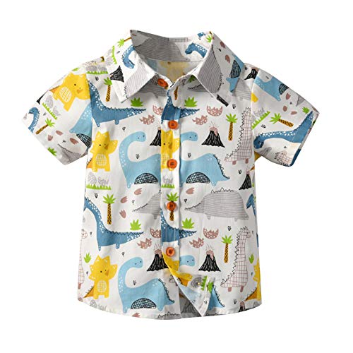 Bebé Niño Traje de 2 Piezas Conjunto Top Camisa de Manga Corta Pantalón Corto Camiseta con Estampado Infantil Ropa Verano de Playa para Vacaciones (Dinosaurio 2, 18-24 Meses)