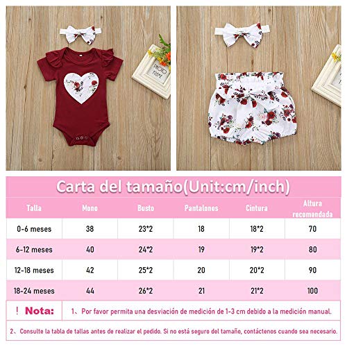 Bonfor 3 Pcs Ropa Bebe Niña 0-3 Meses Conjunto Verano Impresión de Amor Mono de Floral + Pantalón Corto + Banda de Pelo para Recien Nacido Niño 0-24 Meses Algodon Barata TMOYJPX (A, 18-24 Meses)