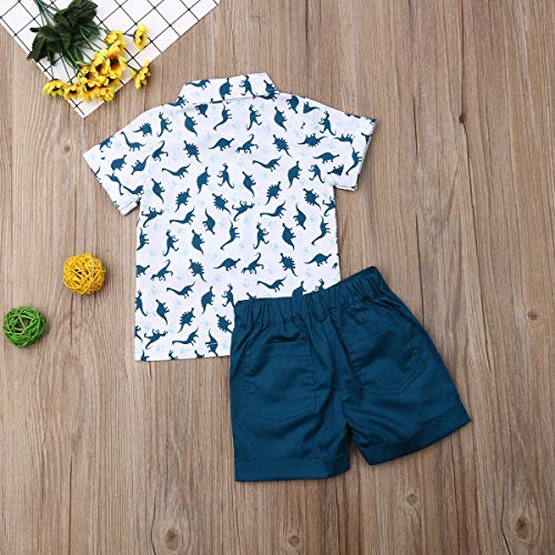 Conjunto de ropa para niños pequeños y niñas de flamenco de playa, conjunto de pantalones cortos.