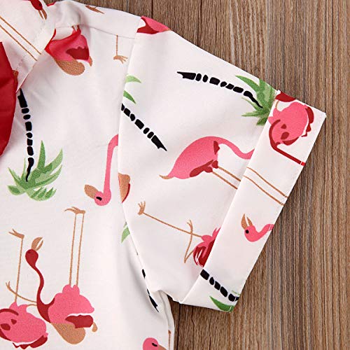 Geagodelia Conjunto Niños Bebés Verano Gentleman Camiseta de Manga Corta Pantalón Corto Ropa Bautizo de 2 Piezas (Flamenco-Rojo, 12-18 Meses)