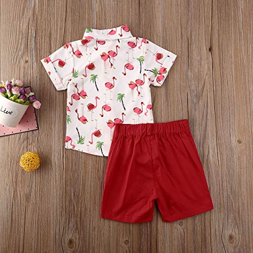 Geagodelia Conjunto Niños Bebés Verano Gentleman Camiseta de Manga Corta Pantalón Corto Ropa Bautizo de 2 Piezas (Flamenco-Rojo, 12-18 Meses)