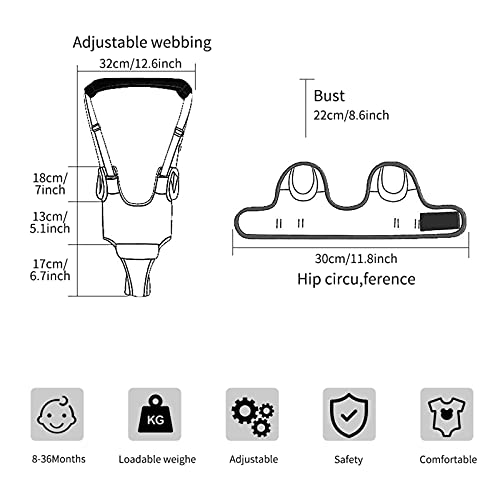 Toddler Walking Assistant, Liesun Correa Bebe Para Caminar, Se pone de pie caminar ayudante de aprendizaje for el bebé, caminar bebé Asistente arnés, caminante del bebé(Azul)