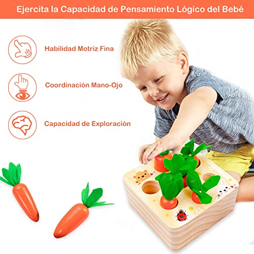 VVRB TS Juguetes Montessori,Juegos Educativos de Granja Infantiles Ejercicio, Juguetes educativos Regalo para niños(Zanahoria)