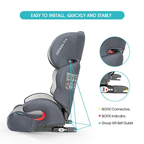 APRAMO OSTARA FIX Silla de Cohce Grupo 2/3 con Connector ISOFIX Infantil Asiento de Automóvil para Niños de 15 a 36kgs (Plata satinada)