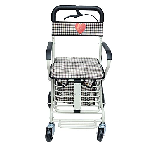 DFJU Andador con Asiento Carrito de la Compra Antiguo Carrito de la Compra Carrito de la Compra Carrito de un Anciano Ayuda para Caminar (Blanco2)