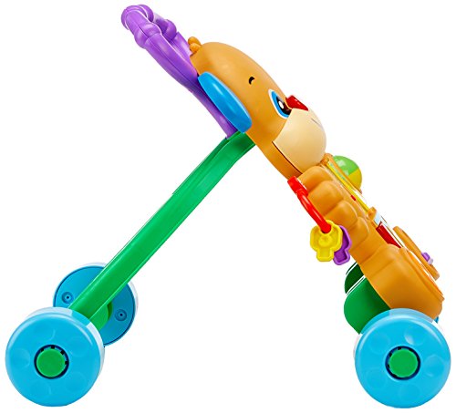 Fisher-Price - Andador perrito primeros pasos (portugués) (Mattel Frc86)