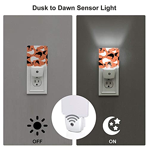 Kiwi Birds and Kiwi Fruits - Juego de 2 luces nocturnas LED enchufables con sensor automático de anochecer a amanecer para dormitorio, baño, cocina, pasillo, escaleras