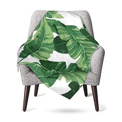 Linda manta de bebé verde con hojas de palma súper suave, ropa de cama para niños, súper suave y cómoda, ligera y lo suficientemente cálida de 30 x 40 pulgadas