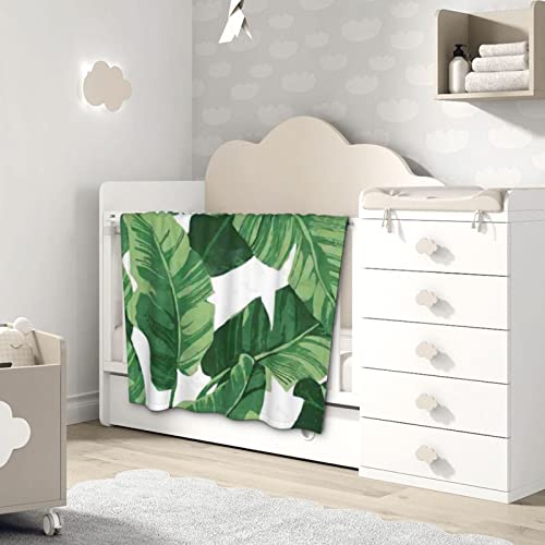 Linda manta de bebé verde con hojas de palma súper suave, ropa de cama para niños, súper suave y cómoda, ligera y lo suficientemente cálida de 30 x 40 pulgadas