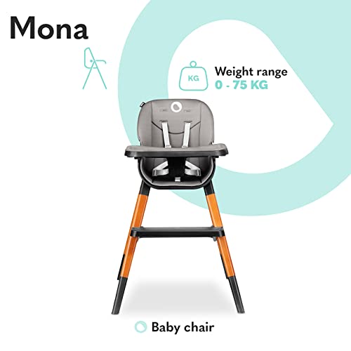 LIONELO Mona Silla 4 en 1 Niño hasta 5 años Capacidad máxima hasta 75 kg Cubiertas antideslizantes para las patas Silla para comer Silla baja Taburete Silla de viaje (Negro)