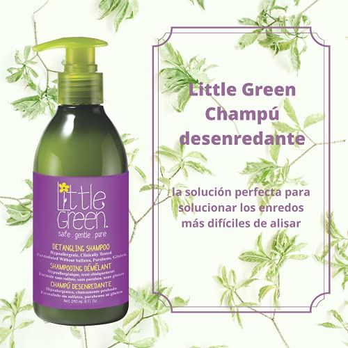 Little Green - Champú desenredante 240 ml para niños sin sulfatos, parabenos ni gluten | producto vegano sin aromas añadidos