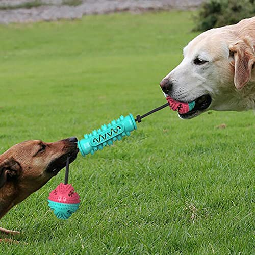 LLXXYY Juguetes de Limpieza de Dientes para Perros, Bola de Goma para Masticar, dispensador de Comida, Cepillo de Dientes para morder, para Mascotas,A