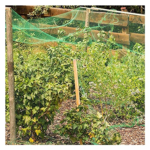 Malla Planta Nylon Protection Net, Soporte de Escalada de jardín Anti Bird Netting, Cultivos Fruta Verduras Red de protección, Barrera de Valla de Granja de Huerta de jardín Red Balcon