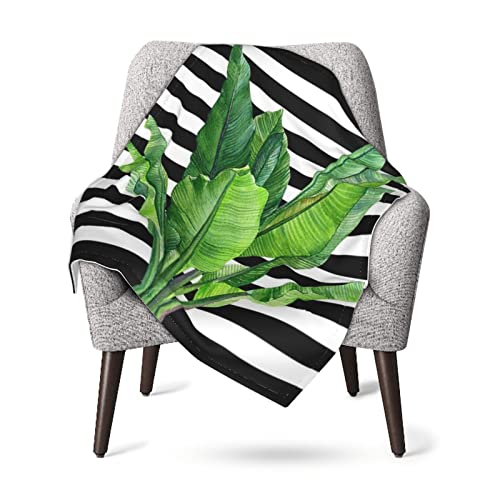 Manta de bebé súper suave de hoja de palma verde, ropa de cama de 30 x 40 pulgadas para niños, súper suave y cómoda, ligera y lo suficientemente cálida