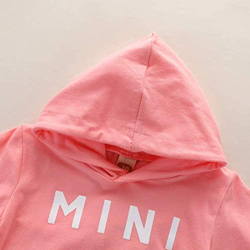 Sudaderas con Capucha para niñas pequeñas, chándales, Sudadera con Capucha de Color sólido, suéter, Pantalones Largos, chándal, Conjunto de 2 Piezas (Pink,18-24 Meses)