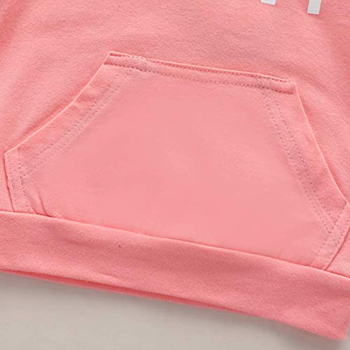 Sudaderas con Capucha para niñas pequeñas, chándales, Sudadera con Capucha de Color sólido, suéter, Pantalones Largos, chándal, Conjunto de 2 Piezas (Pink,18-24 Meses)