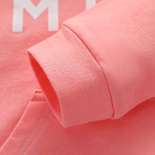 Sudaderas con Capucha para niñas pequeñas, chándales, Sudadera con Capucha de Color sólido, suéter, Pantalones Largos, chándal, Conjunto de 2 Piezas (Pink,18-24 Meses)