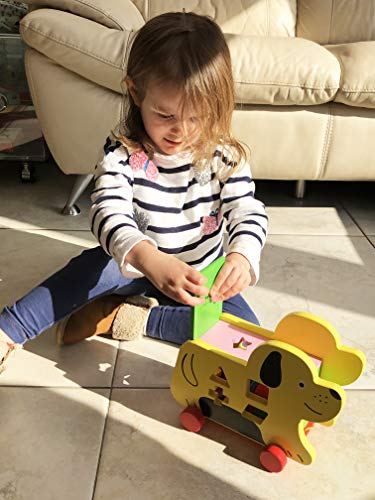 TOWO Perro con Ruedas y Piezas de Madera para clasificar - Juguete de Madera - Juego de Arrastre con Cuerda para bebes y niños de 1 año o mas - Juguetes de Madera educativos Infantil para encajar