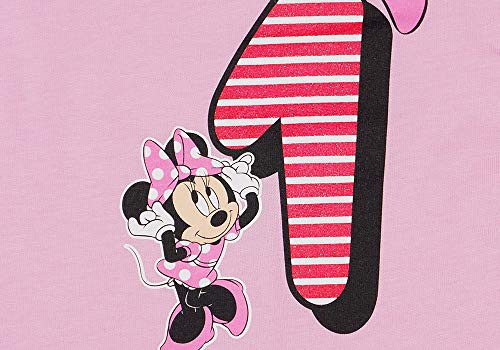 Body de cumpleaños para bebé, primera cumpleaños, camiseta para niña, disfraz de Minnie Mouse, 1 año, talla 80, 86, algodón, Disney, blanco, rosa, manga corta, diseño dulce Modelo 1 86 cm