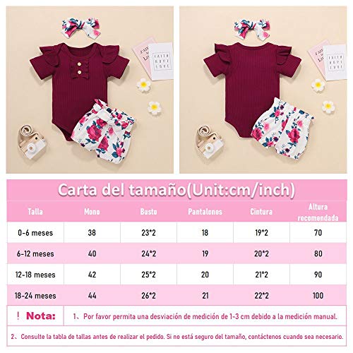 Bonfor 3 Piezas Ropa Bebe Niña 0-3 Meses Conjunto Verano de Floral Mono + Pantalón Corto + Banda de Pelo para Recien Nacido Niño 0-24 Meses Algodon Barata (Vino Tinto, 0-6 Meses)