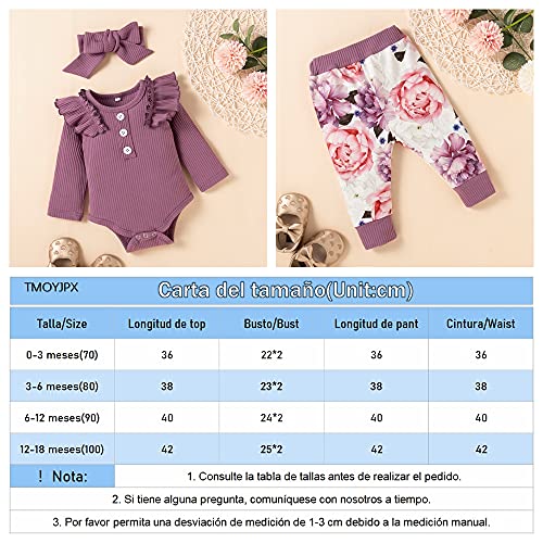 3 Piezas Ropa Bebe Niña 0-18 meses Conjunto Algodon Monos + Pantalón Impresión + Banda Ropa Bebe Recien Nacido Niño Invierno Otoño (3-6 meses, Púrpura)