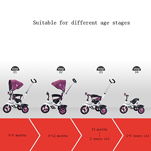 AILI -Sillas de paseo 4 en 1 Triciclo fácil para niños Trike Triciclo con 3 Ruedas para niños con Asiento Giratorio y toldo para Padres (Color : D)